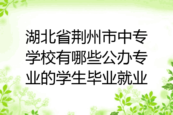 湖北省荆州市中专学校有哪些公办专业的学生毕业就业