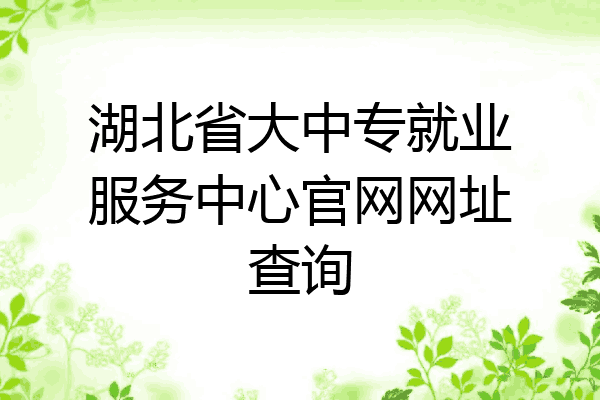 湖北省大中专就业服务中心官网网址查询