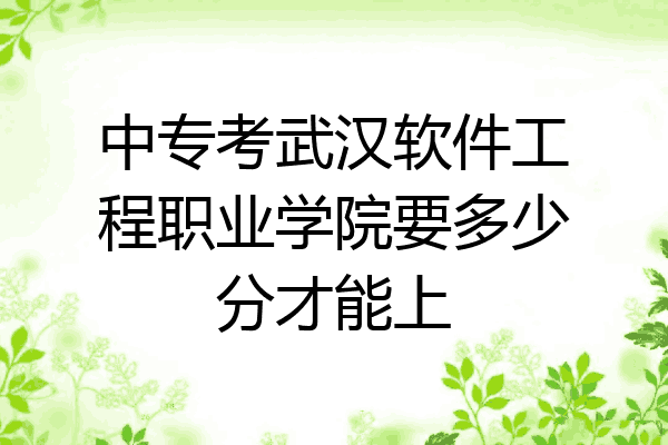 中专考武汉软件工程职业学院要多少分才能上