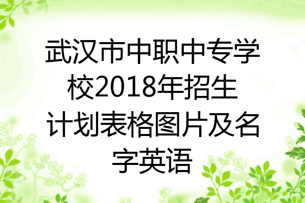 武汉市中职中专学校2018年招生计划表格图片及名字英语
