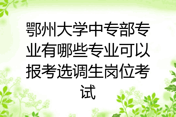鄂州大学中专部专业有哪些专业可以报考选调生岗位考试