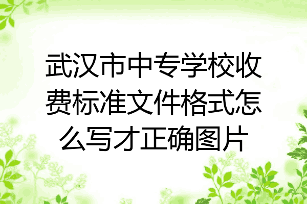 武汉市中专学校收费标准文件格式怎么写才正确图片