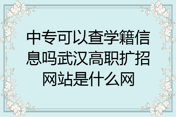 中专可以查学籍信息吗武汉高职扩招网站是什么网