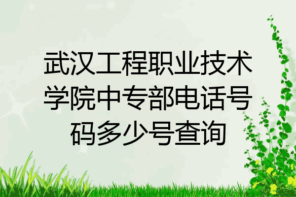 武汉工程职业技术学院中专部电话号码多少号查询