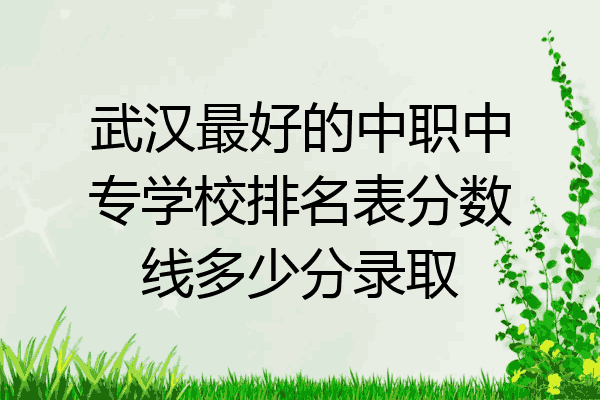 武汉最好的中职中专学校排名表分数线多少分录取