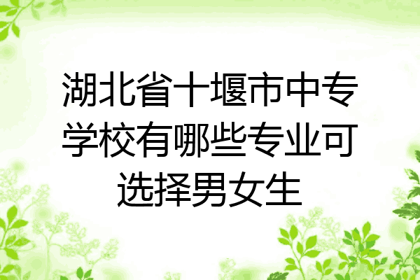 湖北省十堰市中专学校有哪些专业可选择男女生
