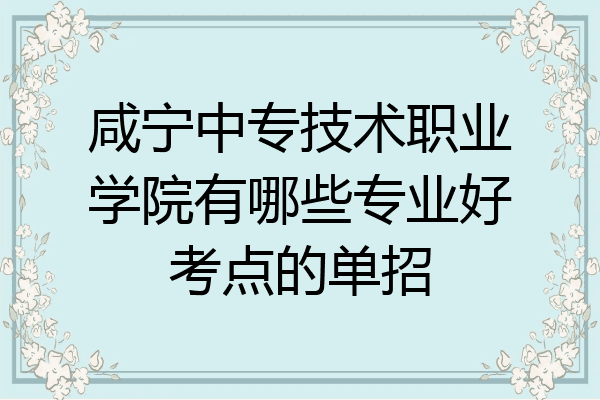 咸宁中专技术职业学院有哪些专业好考点的单招