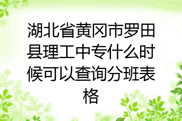 湖北省黄冈市罗田县理工中专什么时候可以查询分班表格