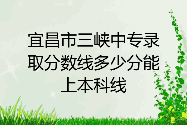 宜昌市三峡中专录取分数线多少分能上本科线