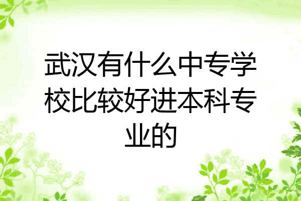 武汉有什么中专学校比较好进本科专业的
