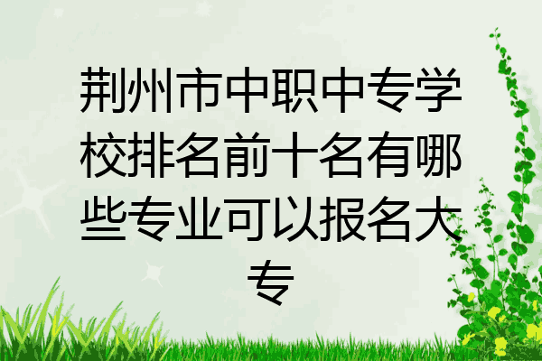 荆州市中职中专学校排名前十名有哪些专业可以报名大专