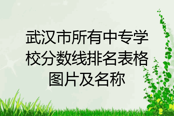 武汉市所有中专学校分数线排名表格图片及名称