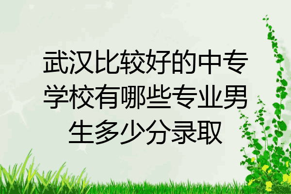 武汉比较好的中专学校有哪些专业男生多少分录取