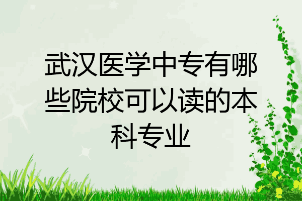 武汉医学中专有哪些院校可以读的本科专业