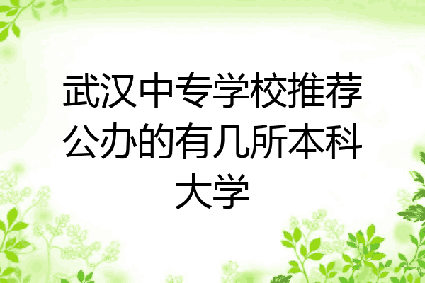 武汉中专学校推荐公办的有几所本科大学