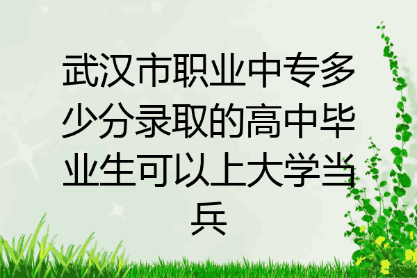 武汉市职业中专多少分录取的高中毕业生可以上大学当兵