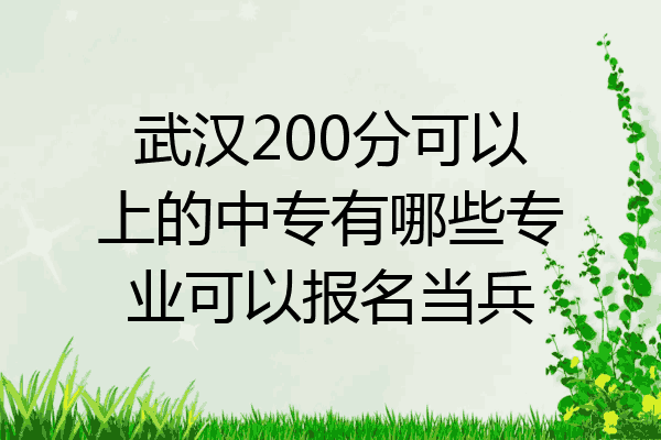 武汉200分可以上的中专有哪些专业可以报名当兵