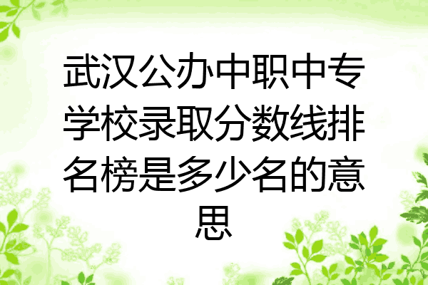 武汉公办中职中专学校录取分数线排名榜是多少名的意思