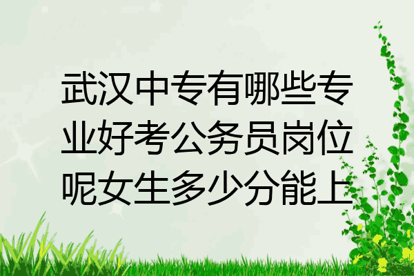 武汉中专有哪些专业好考公务员岗位呢女生多少分能上