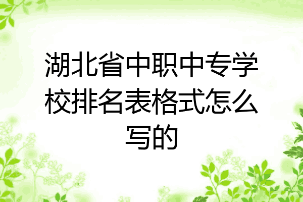 湖北省中职中专学校排名表格式怎么写的