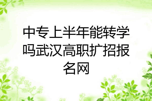 中专上半年能转学吗武汉高职扩招报名网