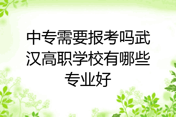 中专需要报考吗武汉高职学校有哪些专业好