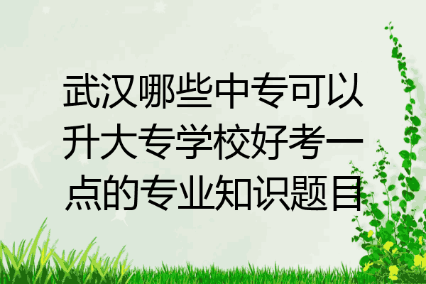 武汉哪些中专可以升大专学校好考一点的专业知识题目