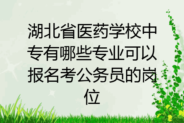 湖北省医药学校中专有哪些专业可以报名考公务员的岗位