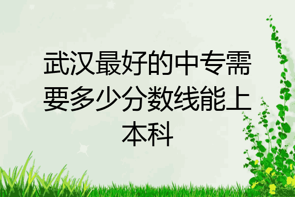 武汉最好的中专需要多少分数线能上本科