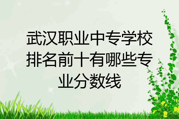 武汉职业中专学校排名前十有哪些专业分数线