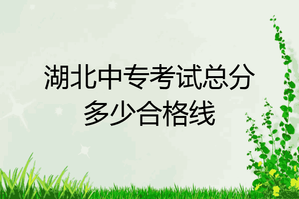湖北中专考试总分多少合格线