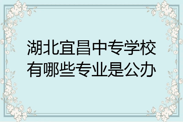 湖北宜昌中专学校有哪些专业是公办