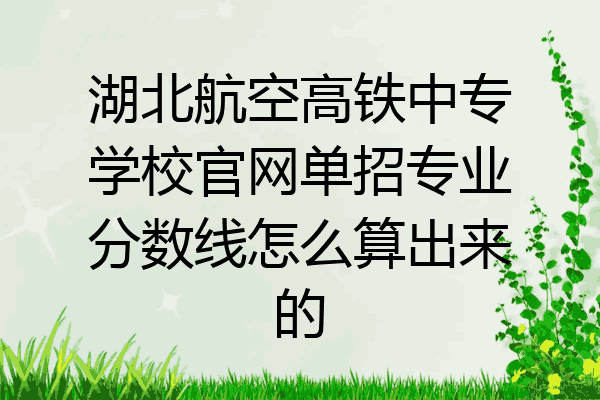 湖北航空高铁中专学校官网单招专业分数线怎么算出来的