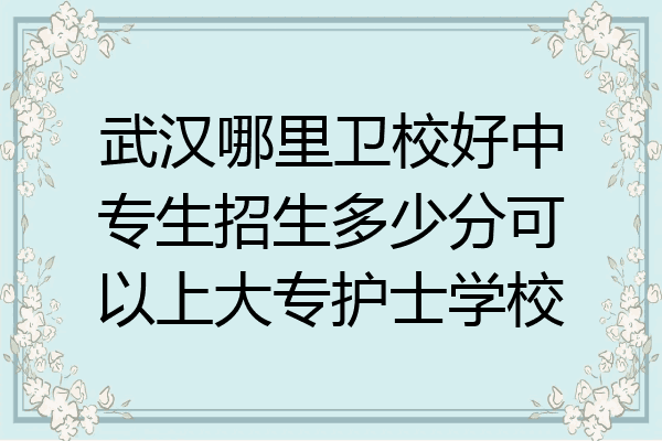 武汉哪里卫校好中专生招生多少分可以上大专护士学校