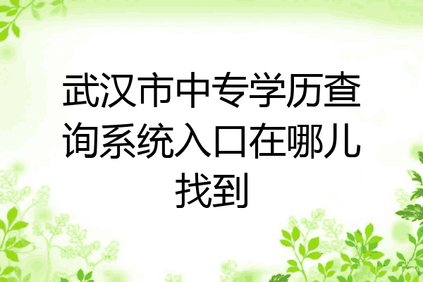武汉市中专学历查询系统入口在哪儿找到
