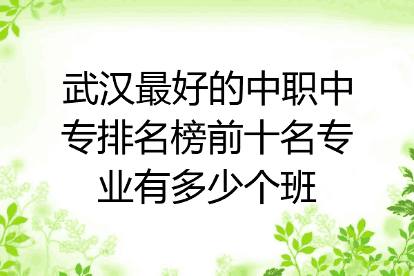 武汉最好的中职中专排名榜前十名专业有多少个班