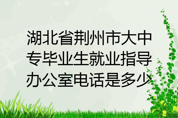 湖北省荆州市大中专毕业生就业指导办公室电话是多少