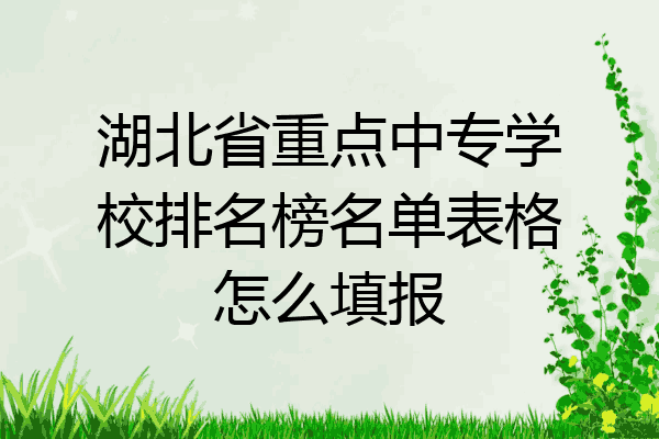 湖北省重点中专学校排名榜名单表格怎么填报