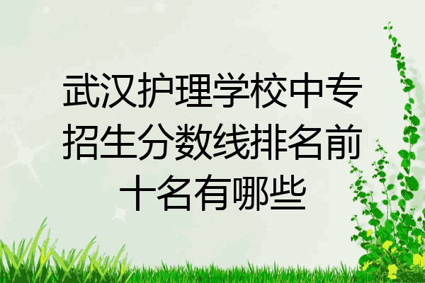 武汉护理学校中专招生分数线排名前十名有哪些