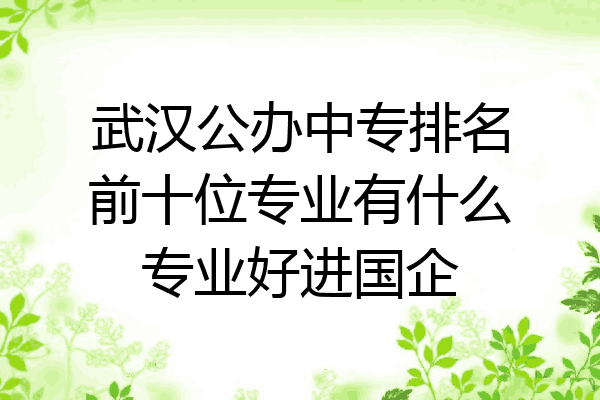 武汉公办中专排名前十位专业有什么专业好进国企