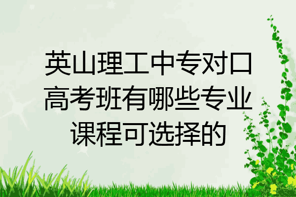 英山理工中专对口高考班有哪些专业课程可选择的