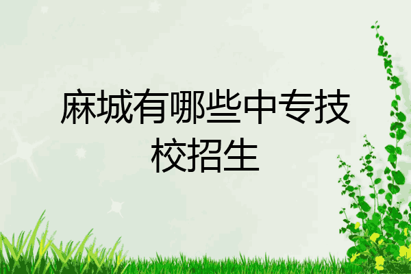麻城有哪些中专技校招生