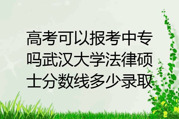 高考可以报考中专吗武汉大学法律硕士分数线多少录取