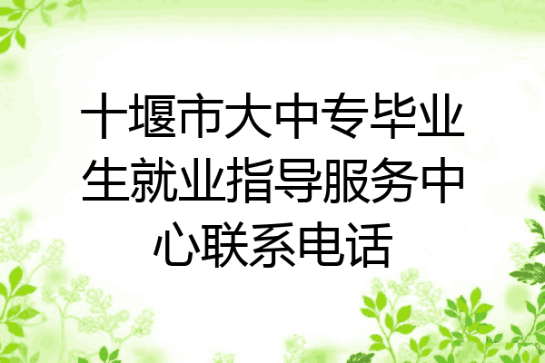 十堰市大中专毕业生就业指导服务中心联系电话