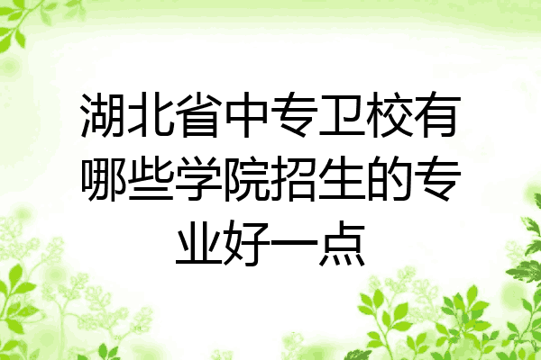 湖北省中专卫校有哪些学院招生的专业好一点