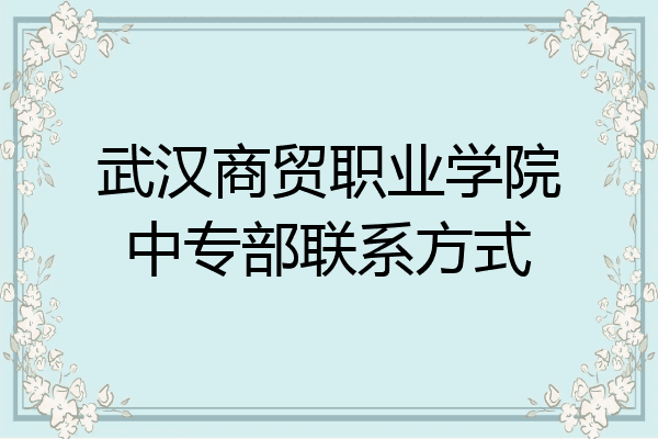 武汉商贸职业学院中专部联系方式