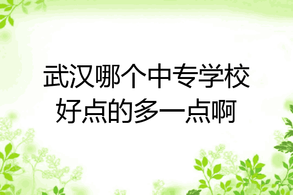 武汉哪个中专学校好点的多一点啊