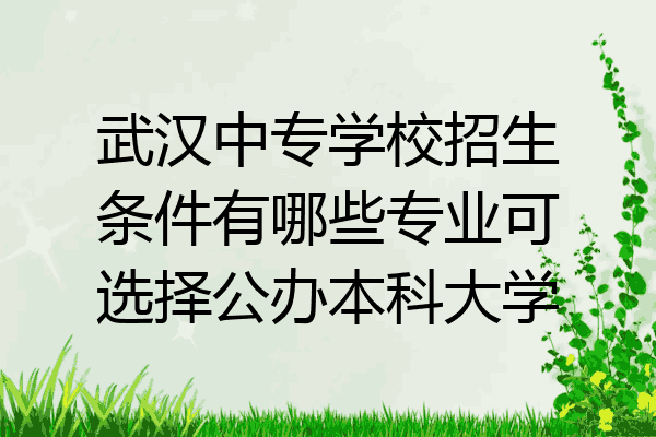 武汉中专学校招生条件有哪些专业可选择公办本科大学
