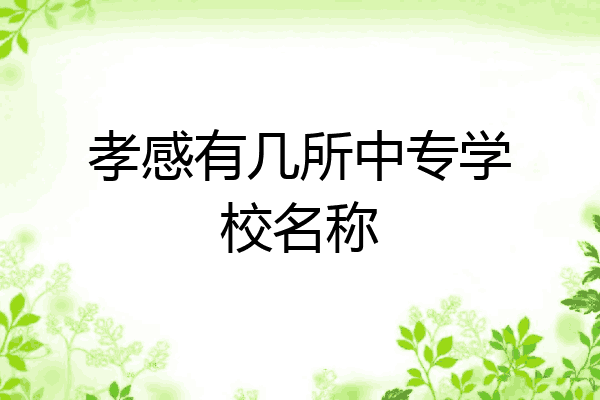孝感有几所中专学校名称