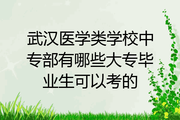 武汉医学类学校中专部有哪些大专毕业生可以考的